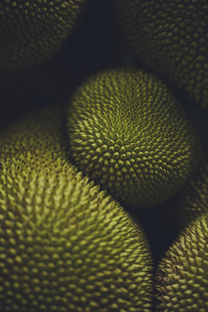 Detailed visual of jackfruit's textured surface, showcasing its unique spikes and tropical appeal.