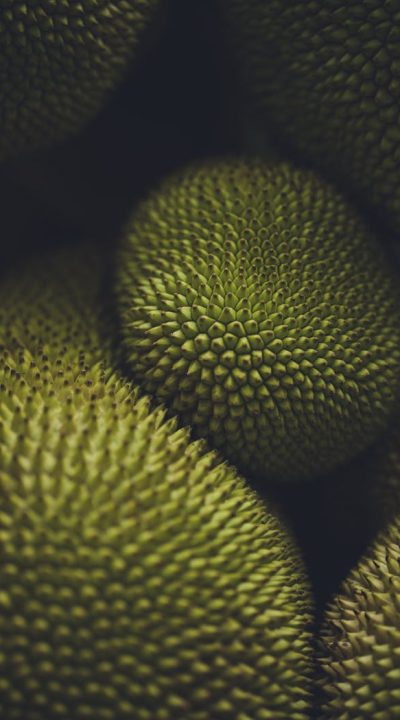 Detailed visual of jackfruit's textured surface, showcasing its unique spikes and tropical appeal.
